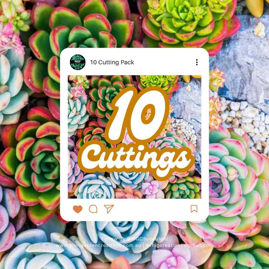 10 Cutting Pack