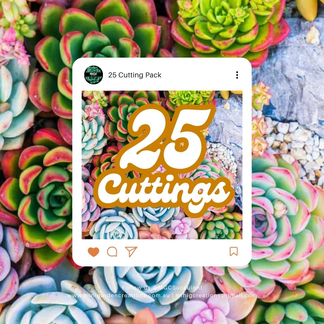 25 Cutting Pack