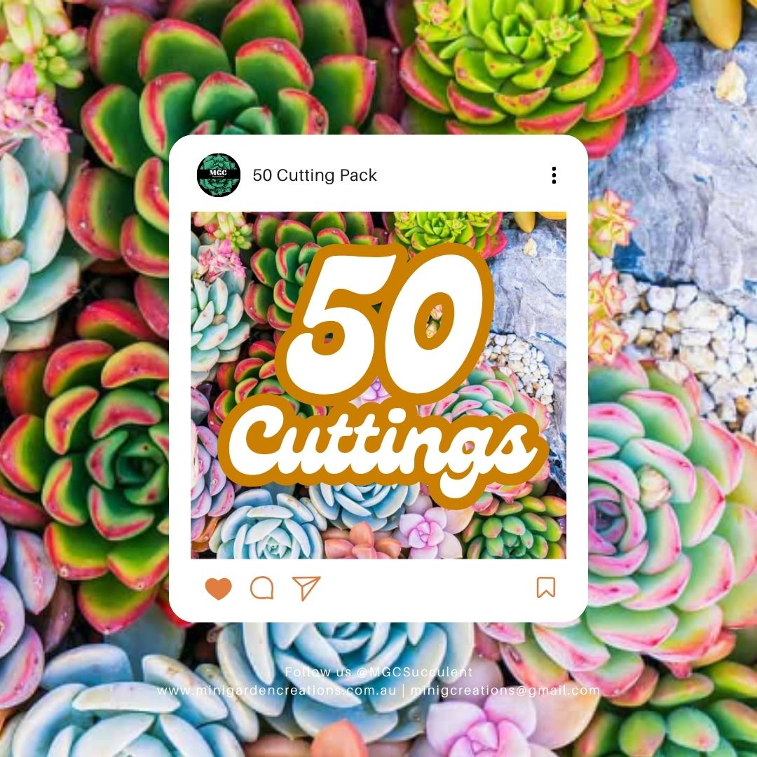 50 Cutting Pack